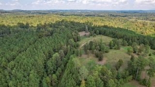 80.93 Acre Wright Lane NE, Cleveland, TN 37323