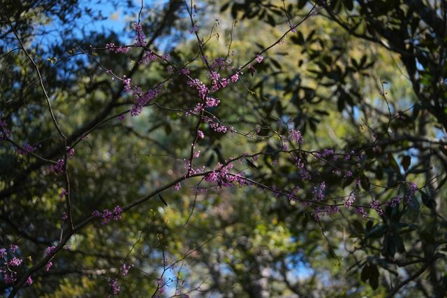 1331 Pelican Watch Villas, Seabrook Island, SC 29455