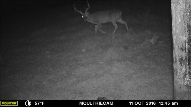 W Mountain Road, Decatur, AR 72722