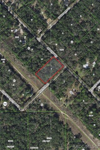 8624 N Barberry Way, Crystal River, FL 34428