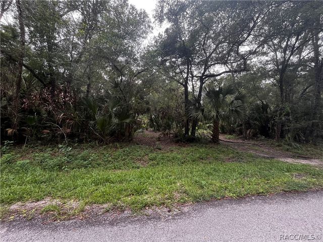 8624 N Barberry Way, Crystal River, FL 34428