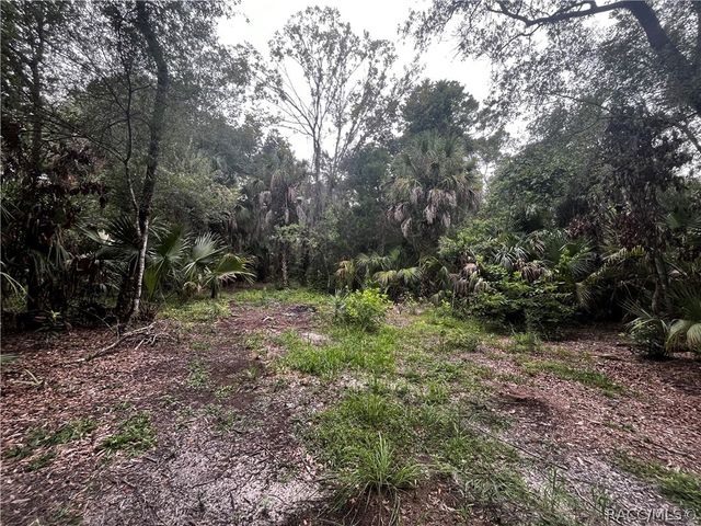 8624 N Barberry Way, Crystal River, FL 34428