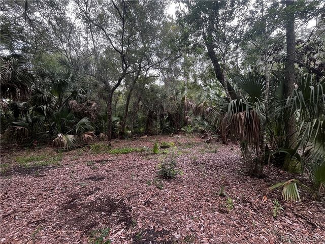8624 N Barberry Way, Crystal River, FL 34428