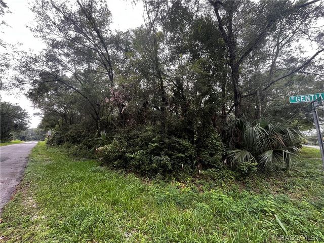8624 N Barberry Way, Crystal River, FL 34428