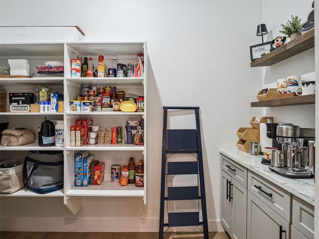 16922 APOPKA SPRINGS BOULEVARD, Montverde, FL 34756