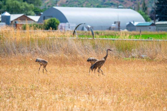 364 W 3000 S, Daniel, UT 84032