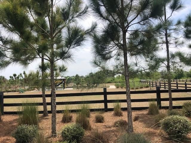 10841 DERRINGER DRIVE, Orlando, FL 32829