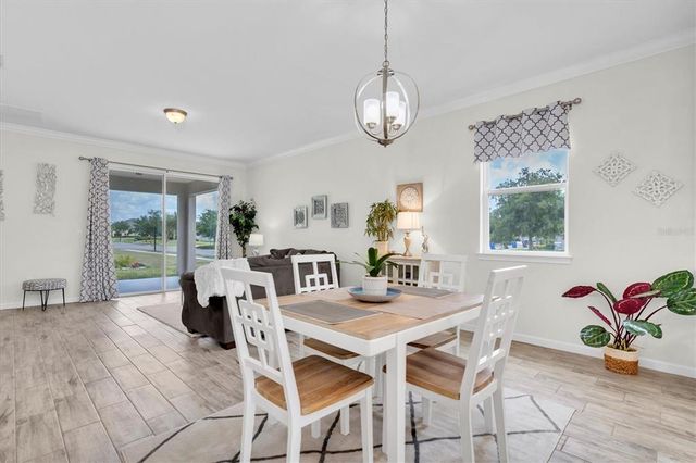 11626 BLUE WOODS DRIVE, Riverview, FL 33569