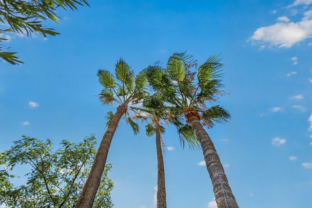 12441 W TOREADOR Drive, Sun City West, AZ 85375