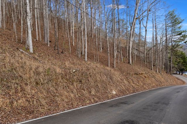 Lot 2965 Monticello Drive, Ellijay, GA 30540