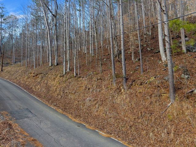 Lot 2965 Monticello Drive, Ellijay, GA 30540