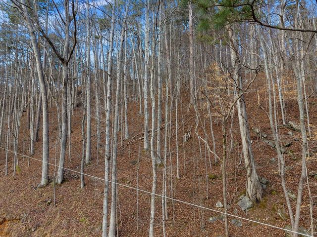 Lot 2965 Monticello Drive, Ellijay, GA 30540