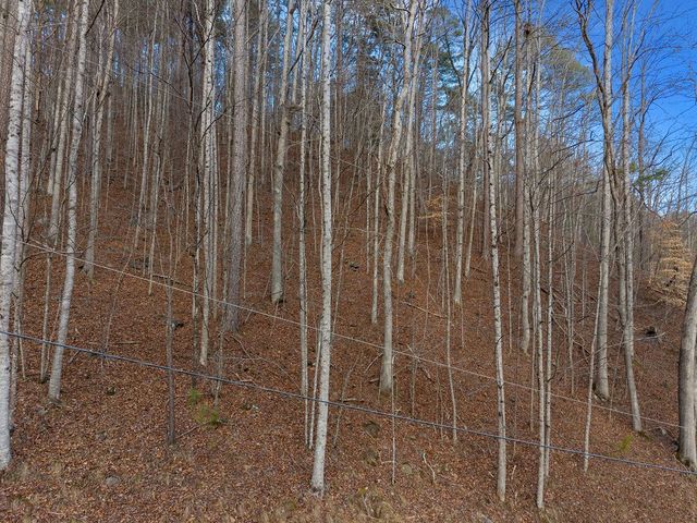 Lot 2965 Monticello Drive, Ellijay, GA 30540