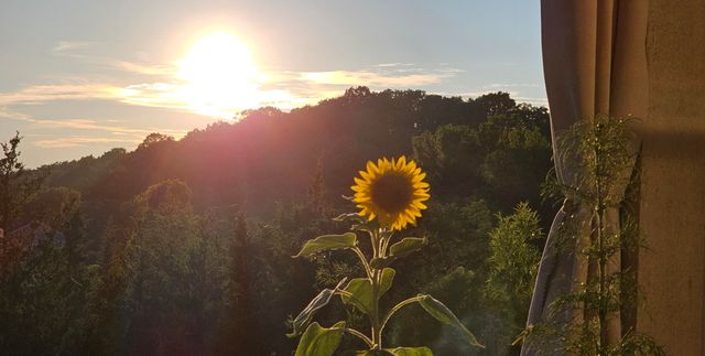 740 Yorkshire Drive, Alexandria, KY 41001