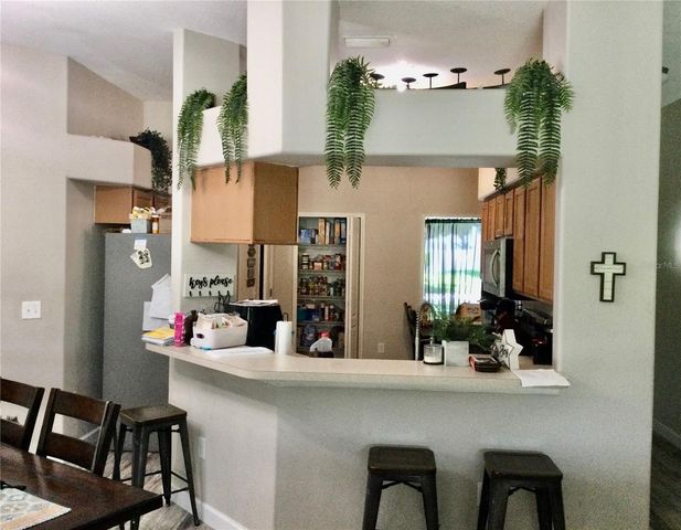10728 SHADY PRESERVE DRIVE, Riverview, FL 33579