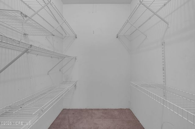 161 Frontier Way, Tinton Falls, NJ 07753