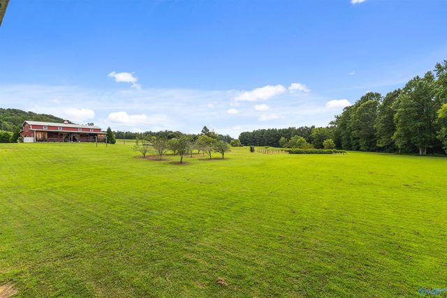 4908 Hopper Road, Altoona, AL 35952