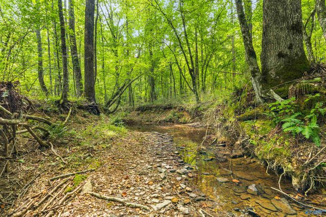 4908 Hopper Road, Altoona, AL 35952