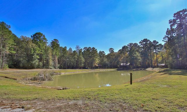 12-22-59 Grey Feather Road, Huntsville, TX 77340