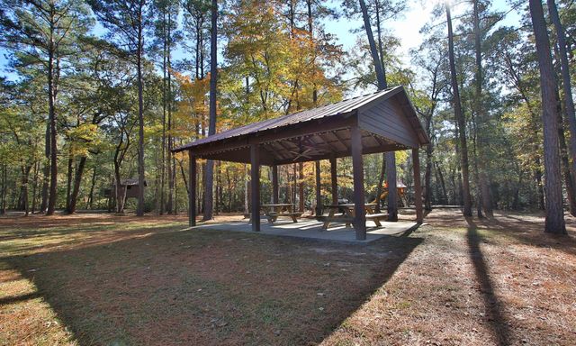 12-22-59 Grey Feather Road, Huntsville, TX 77340