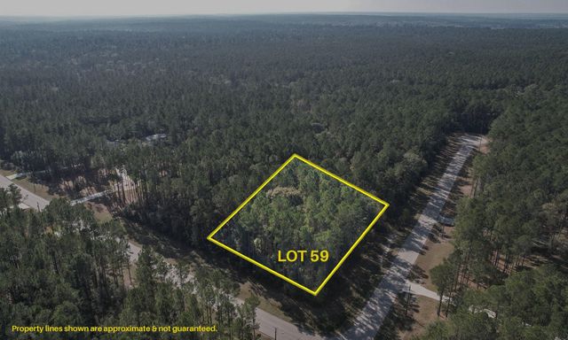 12-22-59 Grey Feather Road, Huntsville, TX 77340