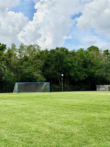 26944 AFFIRMED DRIVE, Wesley Chapel, FL 33544