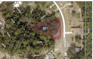 0 HICKORY RIDGE DRIVE, Fruitland Park, FL 34731