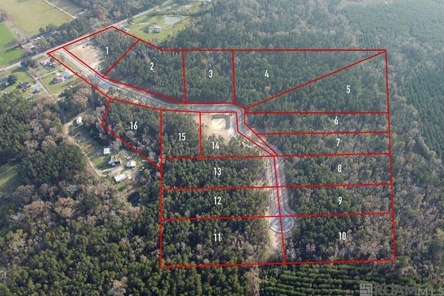 18487 Settlement Trace, Livingston, LA 70754