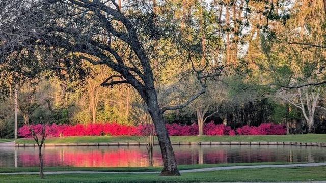 5406 Glenview Drive, Kingwood, TX 77345