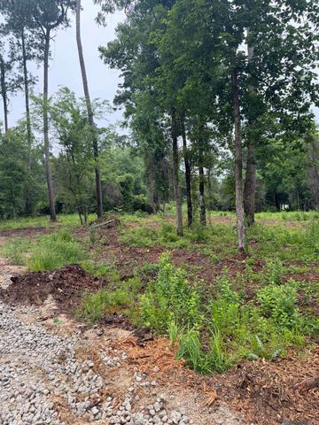 TBD La Hwy 16, Denham Springs, LA 70726