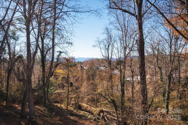 38 Wildwood Avenue, Asheville, NC 28804