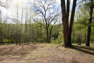 7201 Branico DR, Roanoke, VA 24018