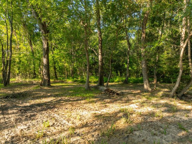 TBD County Road 750, Thornton, TX 76687