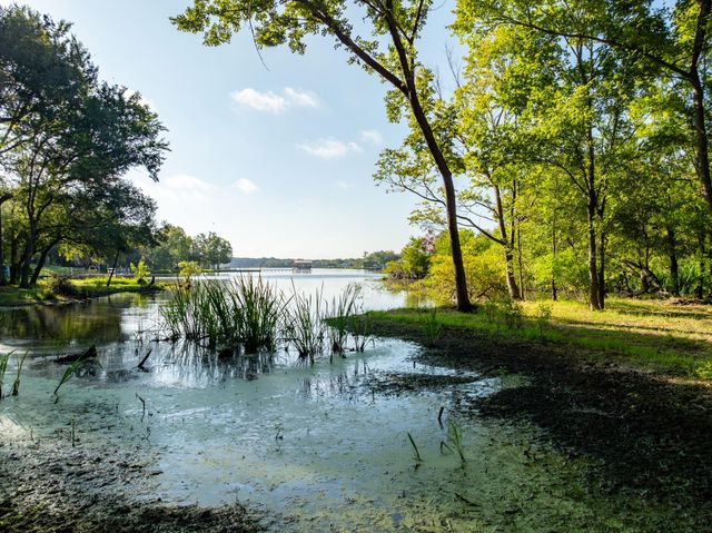 TBD County Road 750, Thornton, TX 76687