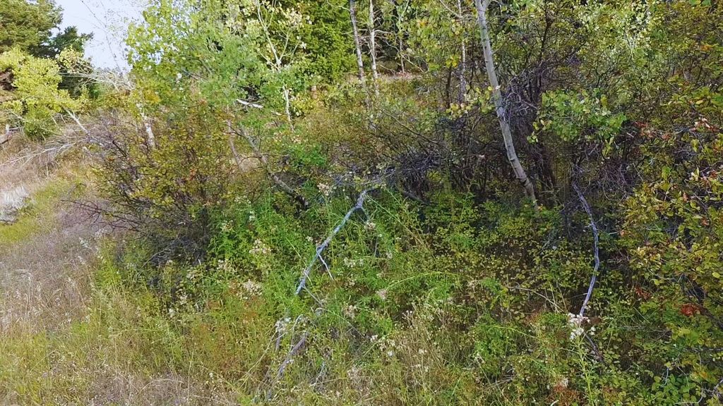 NHN Chestnut Road, Bozeman, MT 59715 photo 10