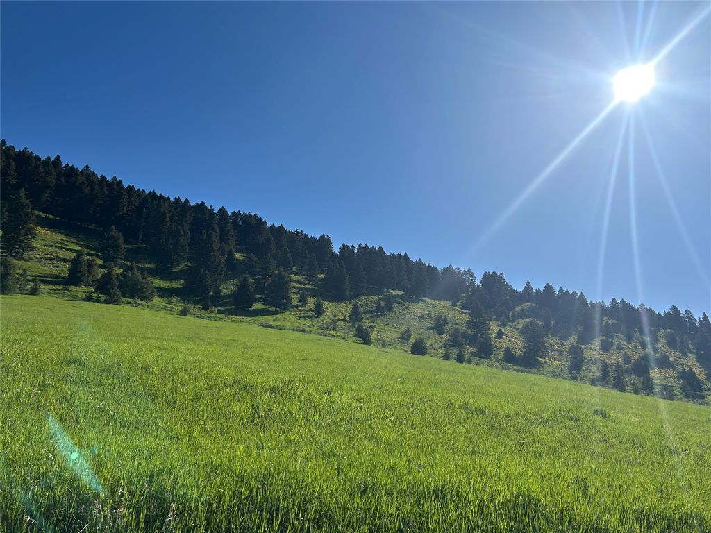 NHN Chestnut Road, Bozeman, MT 59715 photo 4