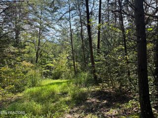 Lot 8 Tanglewood Drive, Sevierville, TN 37876