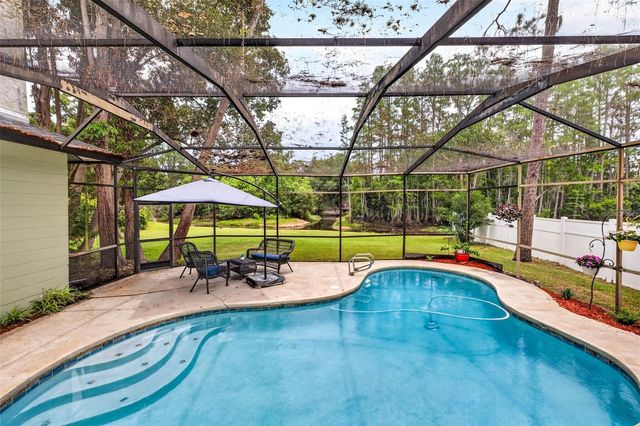 910 HILLSIDE DRIVE, Lutz, FL 33549