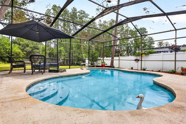 910 HILLSIDE DRIVE, Lutz, FL 33549