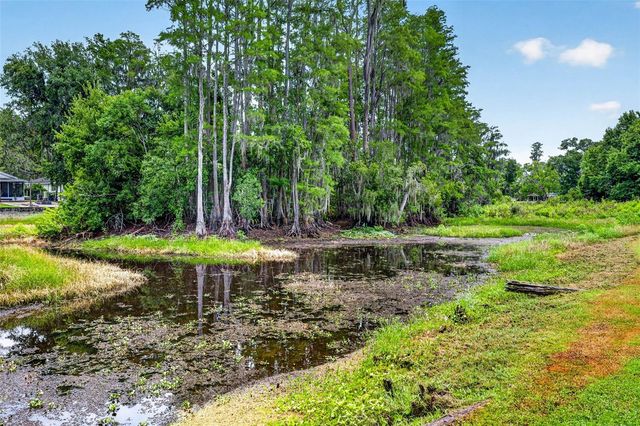 910 HILLSIDE DRIVE, Lutz, FL 33549