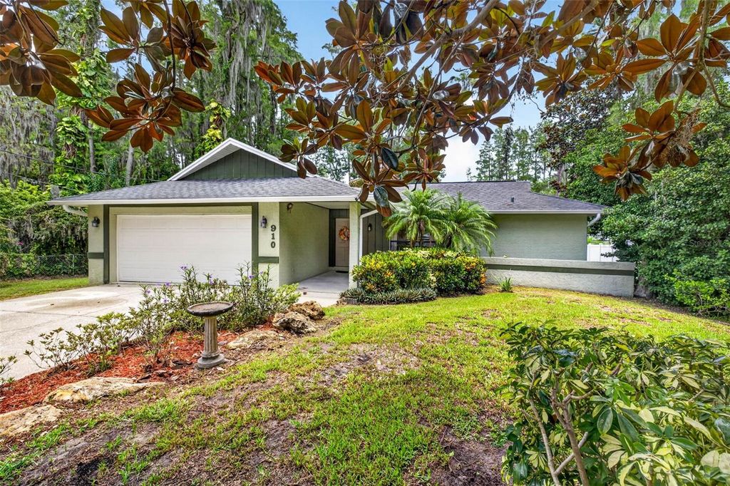 910 HILLSIDE DRIVE, Lutz, FL 33549