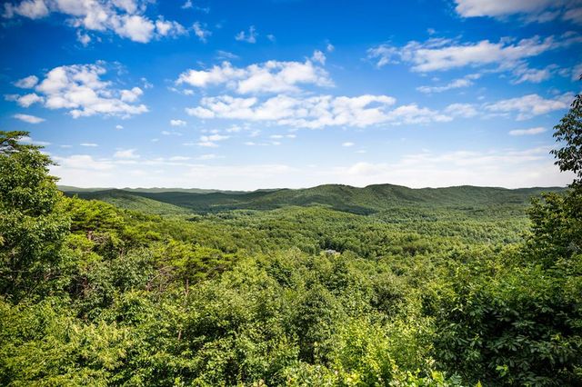 463 Big Sky Trail, Epworth, GA 30541