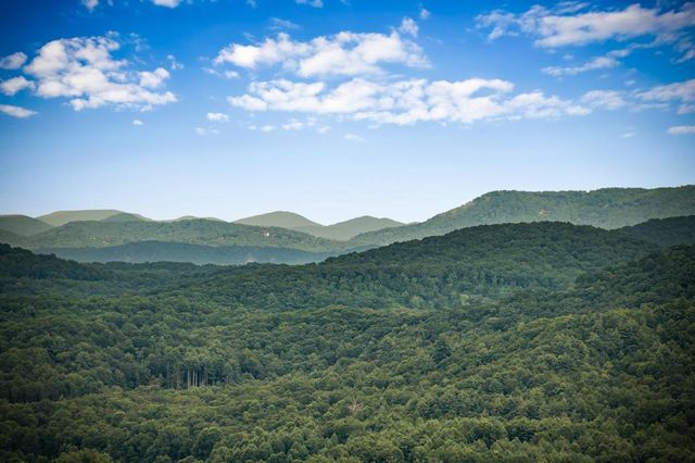 463 Big Sky Trail, Epworth, GA 30541
