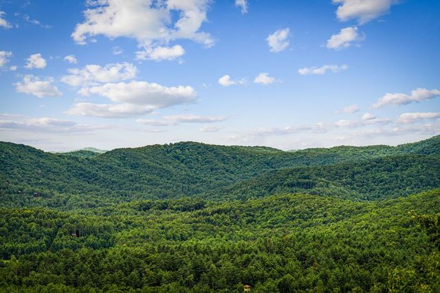 463 Big Sky Trail, Epworth, GA 30541