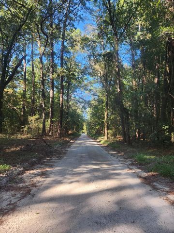 209 Ash Hill Drive, Eutawville, SC 29048