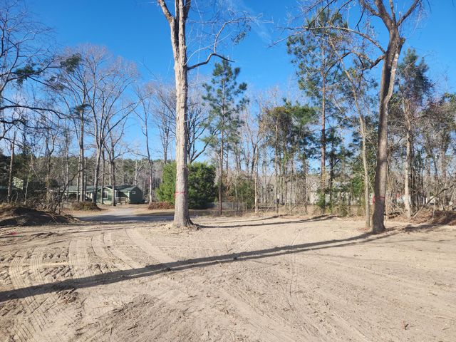 209 Ash Hill Drive, Eutawville, SC 29048
