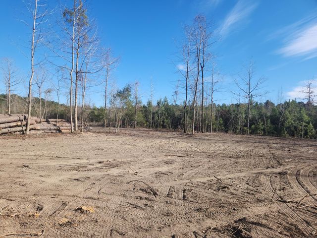 209 Ash Hill Drive, Eutawville, SC 29048