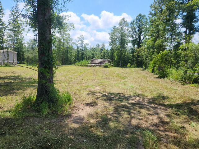 209 Ash Hill Drive, Eutawville, SC 29048