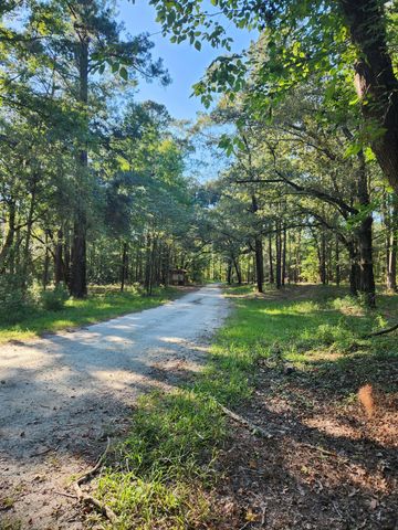 209 Ash Hill Drive, Eutawville, SC 29048