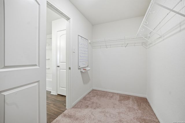 3323 Begonia Bnd, San Antonio, TX 78222
